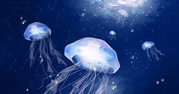 水质检测的步骤是什么