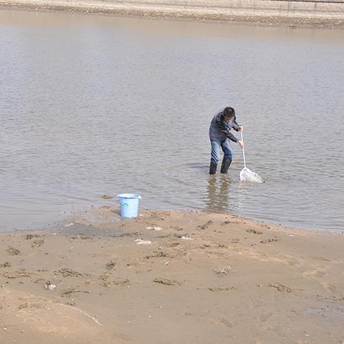 江河沉积物检测.jpg 江河沉积物检测.jpg