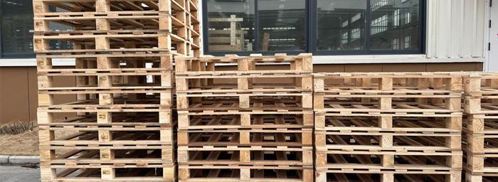 红海中的变革：木托盘市场的挑战与未来机遇