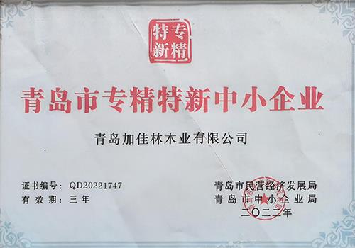 青岛市专精特新中小企业